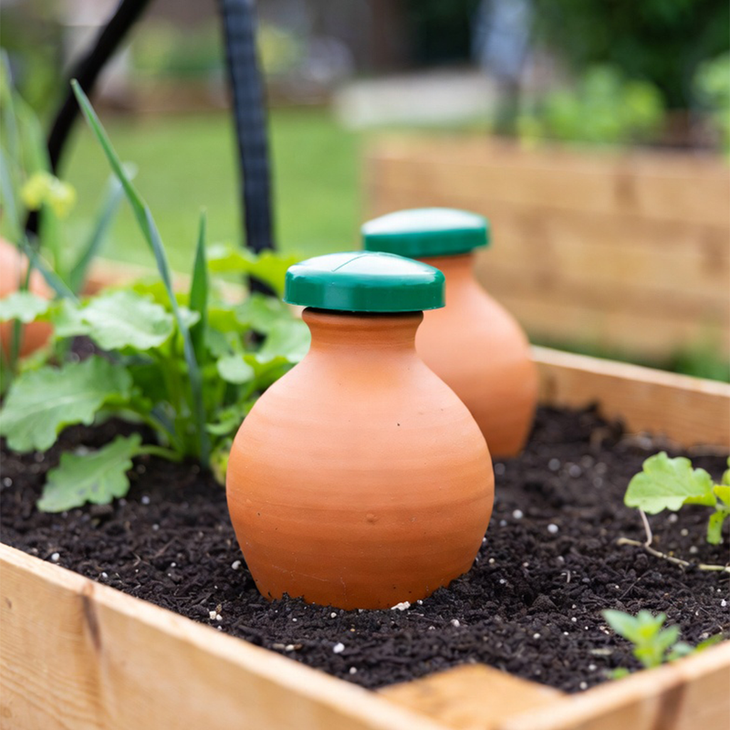 Self-watering Systems