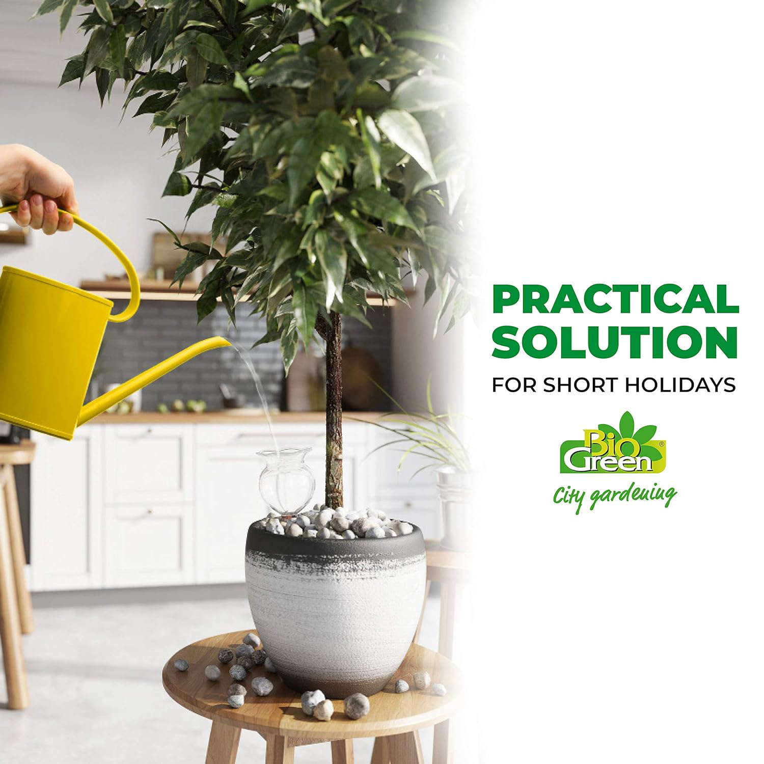 Hydro Bloom Self-watering Globe