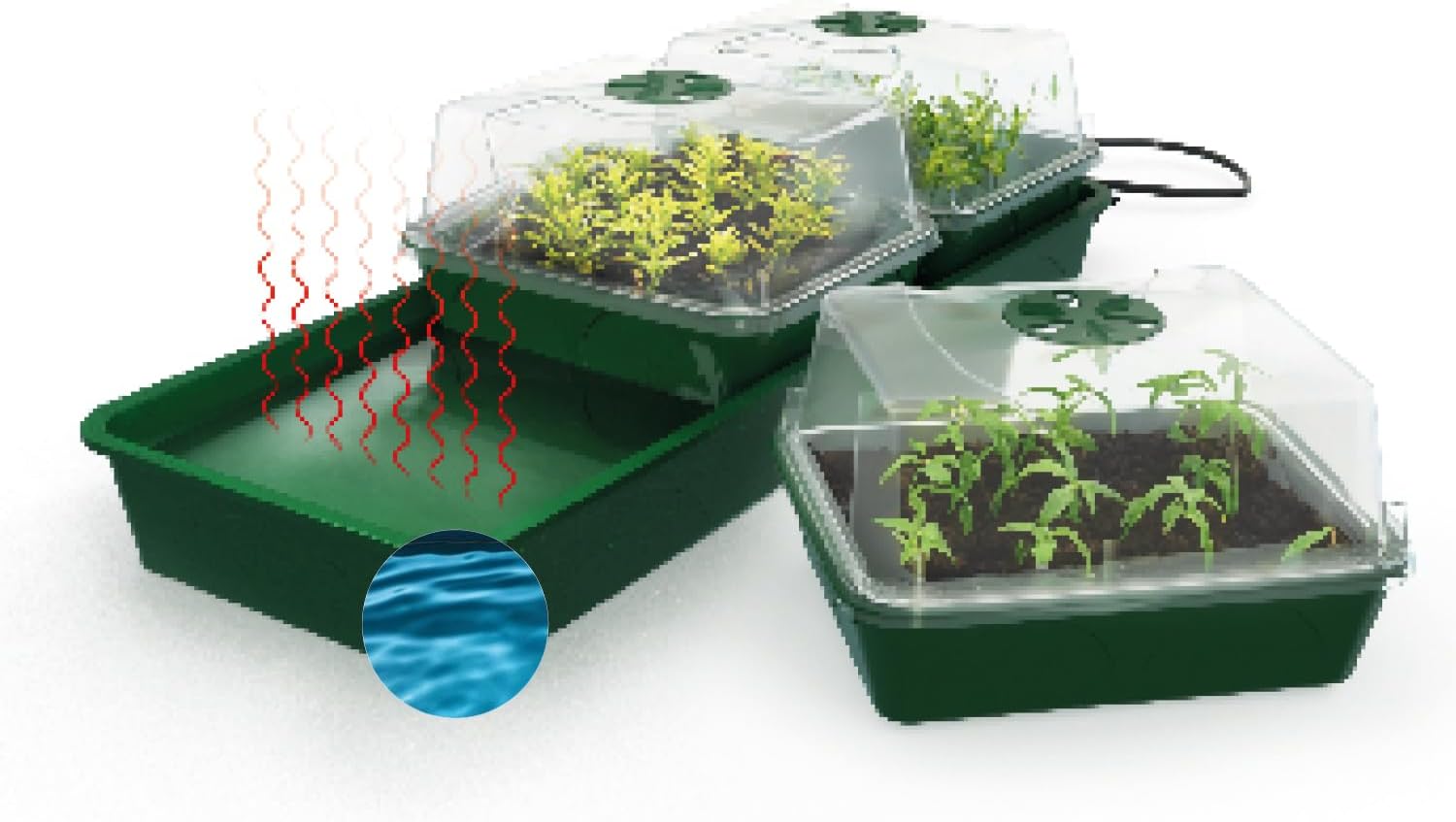 Hollandia Heated Propagator with Water Tank