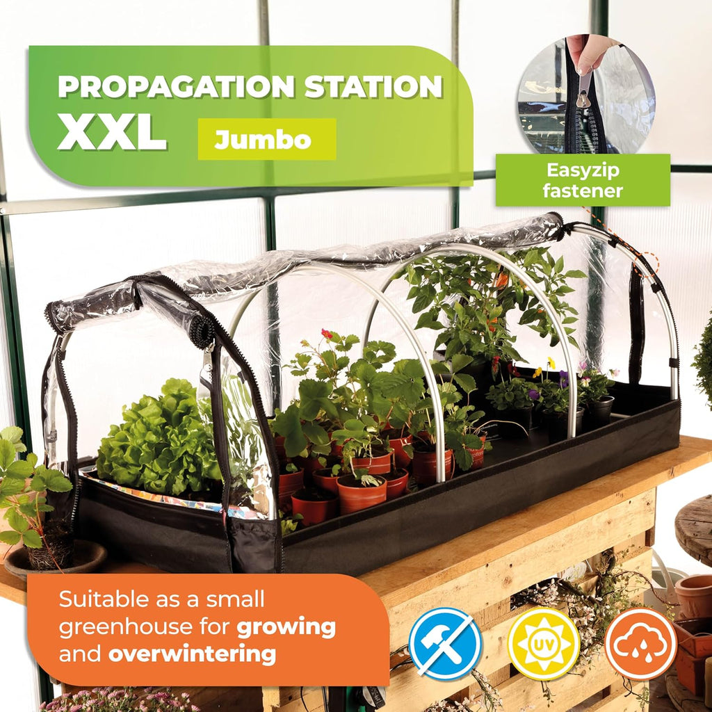 Jumbo Heated Propagator with Thermostat