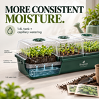 Biogreen Hollandia Heated Propagator 1.4L Tank – 3 Chambers