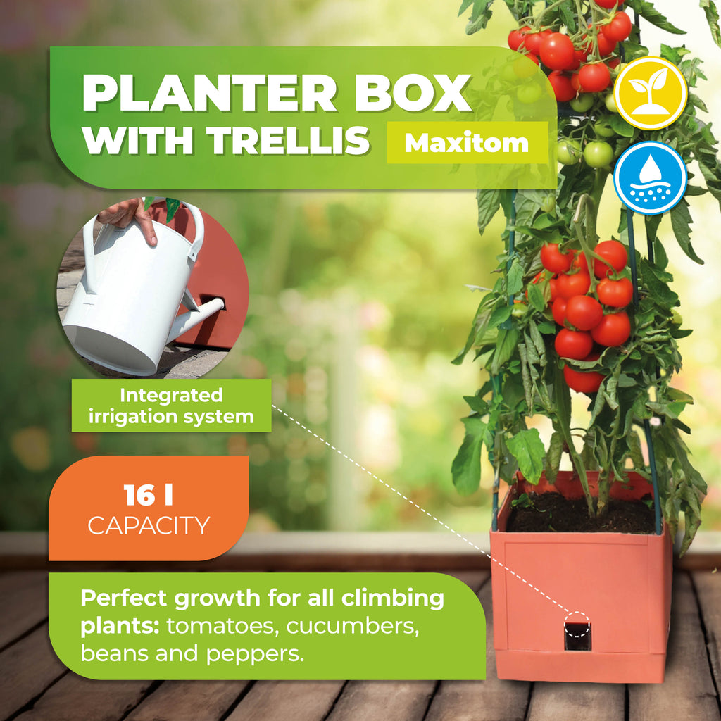 "Maxitom planter box with trellis and integrated irrigation system, featuring a 16-liter capacity, ideal for climbing plants like tomatoes, cucumbers, beans, and peppers."