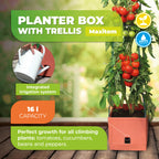"Maxitom planter box with trellis and integrated irrigation system, featuring a 16-liter capacity, ideal for climbing plants like tomatoes, cucumbers, beans, and peppers."