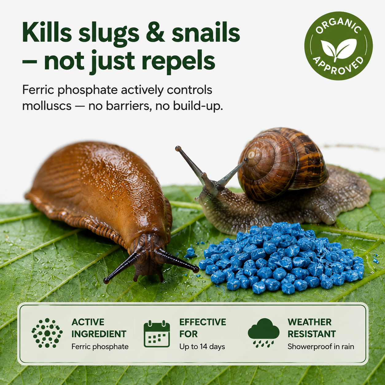 Doff Slug Killer Pellets 800g – Covers 210m²