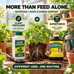 Superthrive Plant Nutrient – Vitamin B1 Plant Food for Root Development & Growth