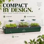 Biogreen Hollandia Heated Propagator 1.4L Tank – 3 Chambers
