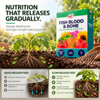 Doff Fish Blood and Bone Fertiliser 2kg – Organic Feed