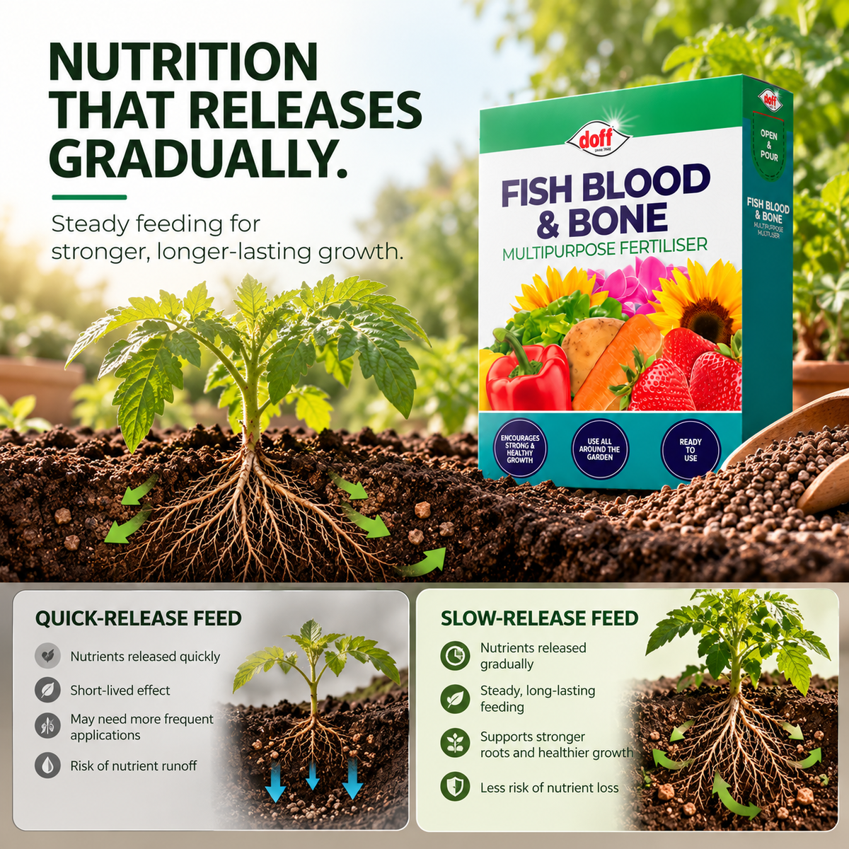 Doff Fish Blood and Bone Fertiliser 2kg – Organic Feed