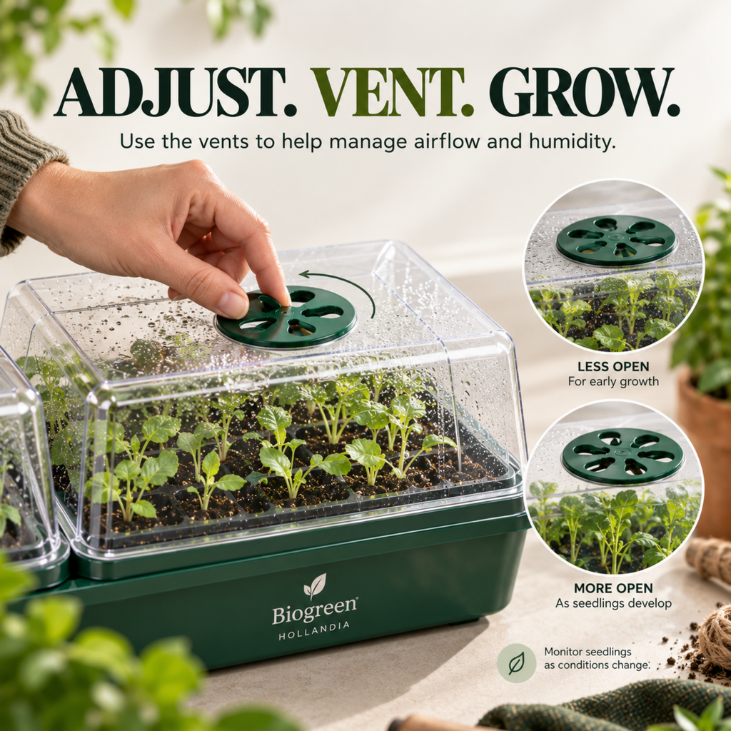 Biogreen Hollandia Heated Propagator 1.4L Tank – 3 Chambers