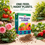 Doff Fish Blood and Bone Fertiliser 2kg – Organic Feed