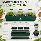 Biogreen Hollandia Heated Propagator 1.4L Tank – 3 Chambers
