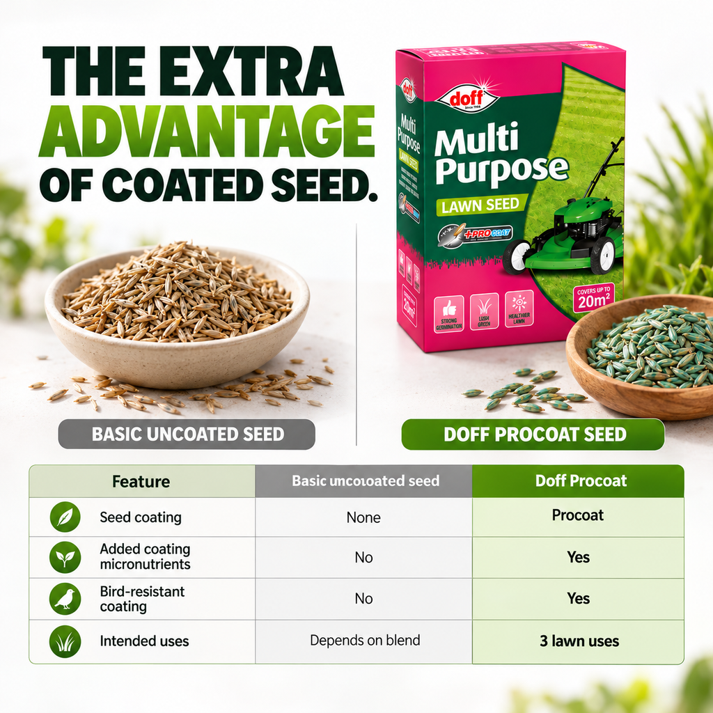 Doff Grass Seed 500g – Fast Germinating Lawn Seed